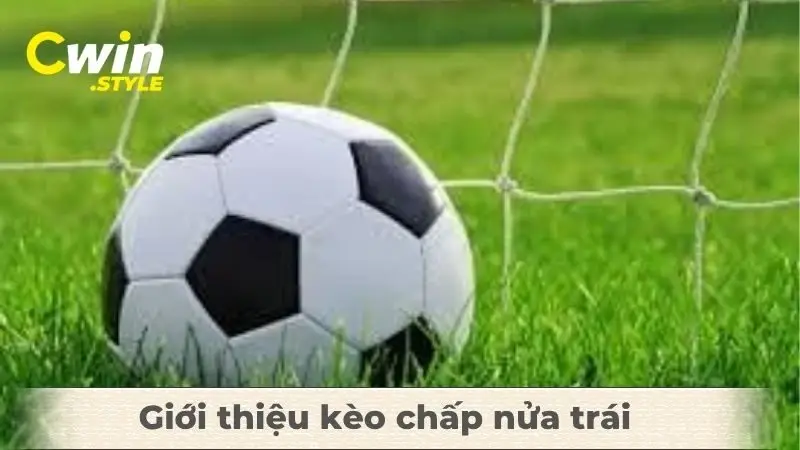 Giới thiệu kèo chấp nửa trái