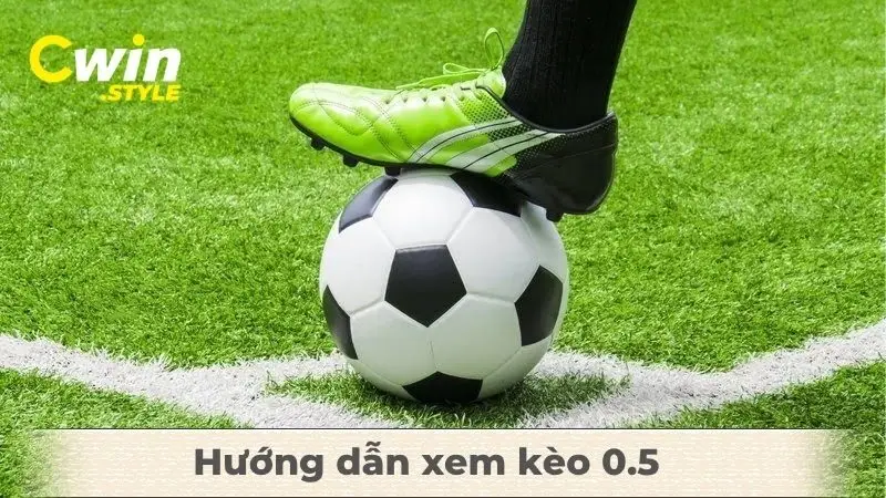 Hướng dẫn xem kèo 0.5